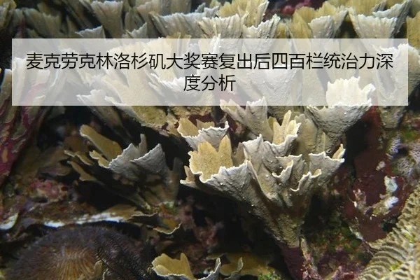 麦克劳克林洛杉矶大奖赛复出后四百栏统治力深度分析
