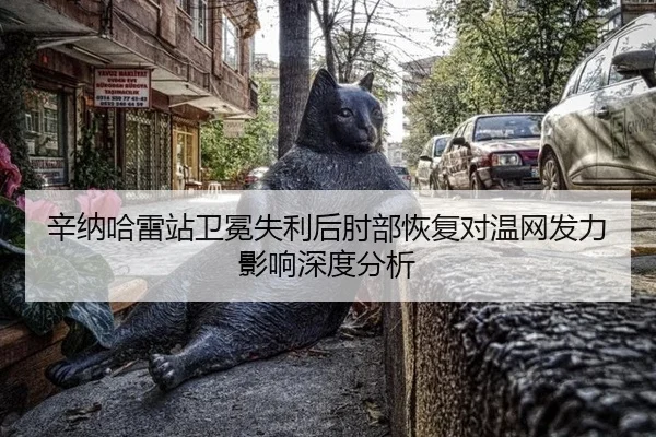 辛纳哈雷站卫冕失利后肘部恢复对温网发力影响深度分析