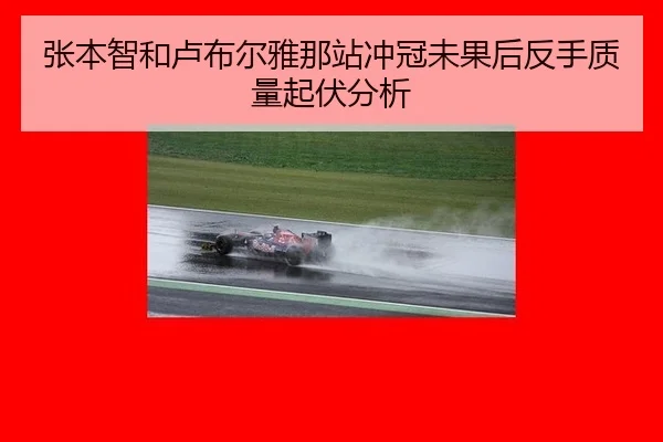 张本智和卢布尔雅那站冲冠未果后反手质量起伏分析